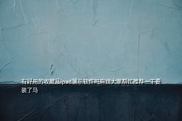 有好用的收藏品ipad展示軟件嗎麻煩大家?guī)兔ν扑]一下要裝了馬