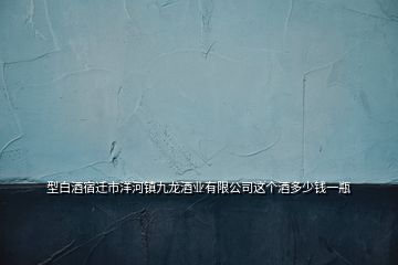 型白酒宿遷市洋河鎮(zhèn)九龍酒業(yè)有限公司這個酒多少錢一瓶