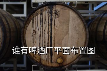 誰(shuí)有啤酒廠平面布置圖