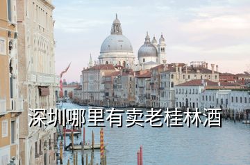 深圳哪里有賣(mài)老桂林酒
