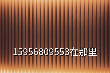 15956809553在那里