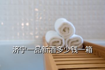 濟(jì)寧一品新酒多少錢一箱