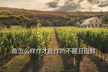 魚(yú)怎么樣作才能作的不腥且很鮮
