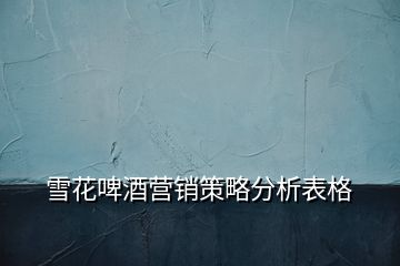 雪花啤酒營(yíng)銷策略分析表格