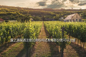 露之源閩酒注冊(cè)過商標(biāo)嗎還有哪些分類可以注冊(cè)