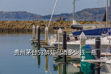 貴州茅臺(tái)53醉知己酒多少錢(qián)一瓶