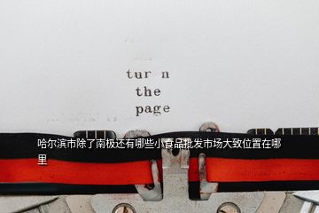 哈爾濱市除了南極還有哪些小食品批發(fā)市場大致位置在哪里
