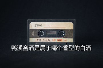 鴨溪窖酒是屬于哪個香型的白酒