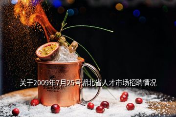 關(guān)于2009年7月25號(hào)湖北省人才市場(chǎng)招聘情況