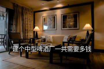 建個(gè)中型啤酒廠一共需要多錢(qián)