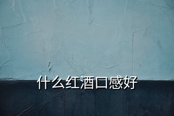 什么紅酒口感好