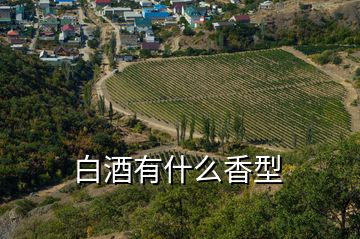 白酒有什么香型