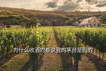 為什么收酒的都說我的茅臺是假的