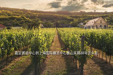 嘉定客運(yùn)中心到上海國際展覽中心婁山關(guān)路88號怎么走