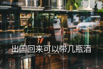 出國(guó)回來可以帶幾瓶酒