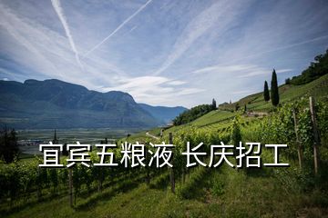 宜賓五糧液 長(zhǎng)慶招工