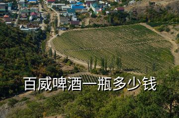 百威啤酒一瓶多少錢