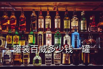 罐裝百威多少錢一罐