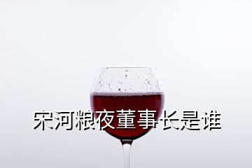 宋河糧夜董事長是誰