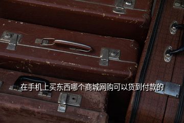 在手機(jī)上買東西哪個(gè)商城網(wǎng)購可以貨到付款的