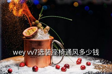wey vv7選裝座椅通風(fēng)多少錢(qián)