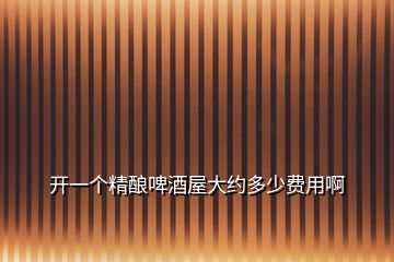 開(kāi)一個(gè)精釀啤酒屋大約多少費(fèi)用啊