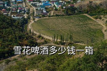 雪花啤酒多少錢(qián)一箱