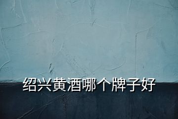 紹興黃酒哪個牌子好