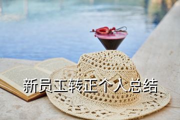 新員工轉正個人總結