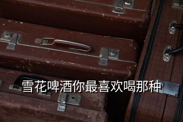 雪花啤酒你最喜歡喝那種