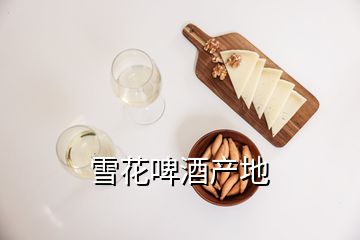 雪花啤酒產地