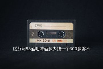 綏芬河88酒吧啤酒多少錢(qián)一個(gè)300多夠不