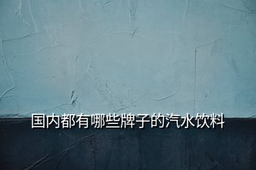 國內(nèi)都有哪些牌子的汽水飲料
