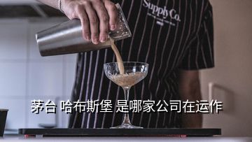 茅臺(tái) 哈布斯堡 是哪家公司在運(yùn)作