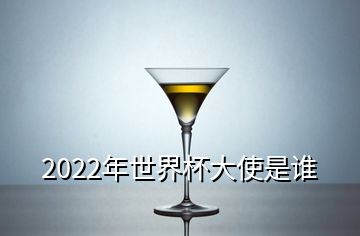 2022年世界杯大使是誰