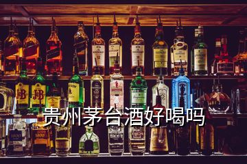 貴州茅臺(tái)酒好喝嗎