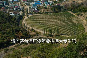 請(qǐng)問茅臺(tái)酒廠今年要招聘大專生嗎