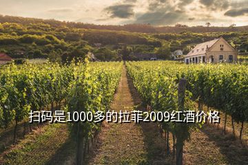 掃碼是1000多的拉菲2009紅酒價(jià)格