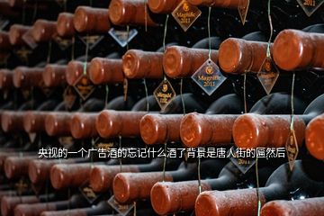 央視的一個廣告酒的忘記什么酒了背景是唐人街的匾然后