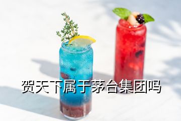 賀天下屬于茅臺集團(tuán)嗎