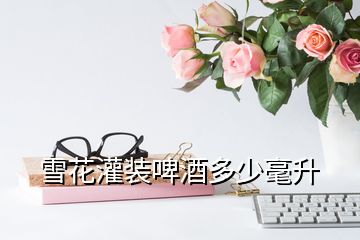 雪花灌裝啤酒多少毫升