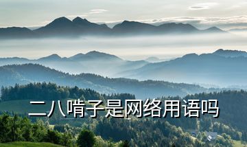 二八啃子是網絡用語嗎