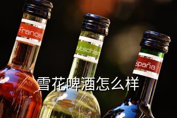 雪花啤酒怎么樣