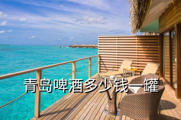 青島啤酒多少錢一罐