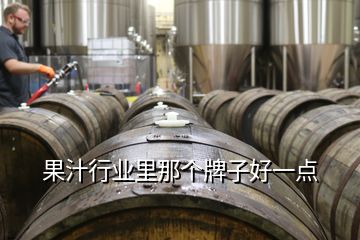 果汁行業(yè)里那個牌子好一點(diǎn)
