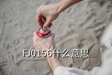 FJ0156什么意思