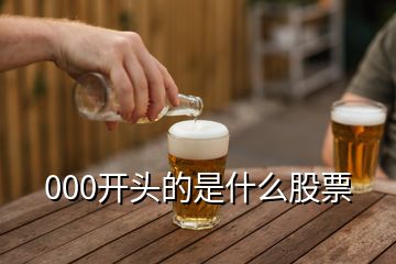 000開頭的是什么股票