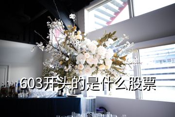 603開頭的是什么股票
