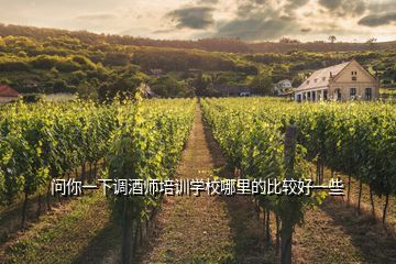 問(wèn)你一下調(diào)酒師培訓(xùn)學(xué)校哪里的比較好一些