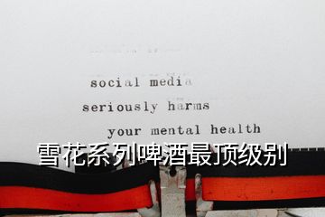 雪花系列啤酒最頂級別